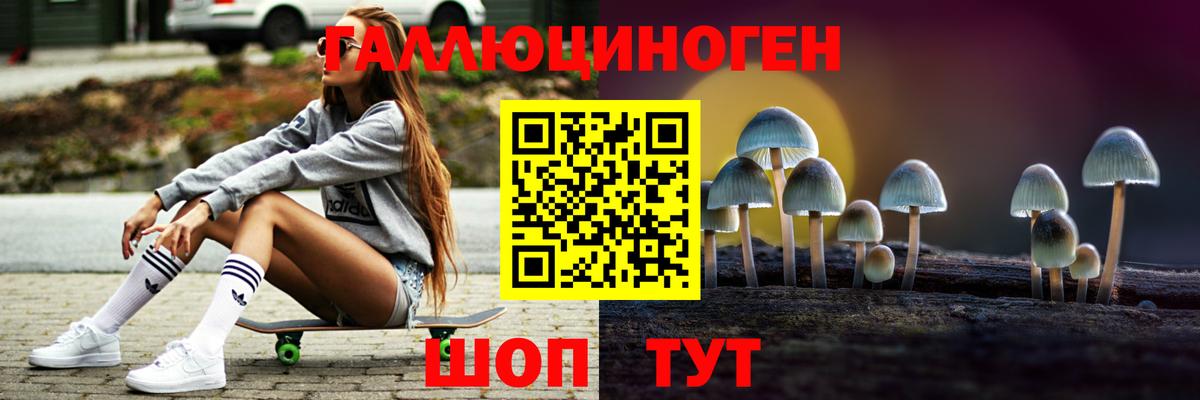 Галлюциногенные грибы Psilocybine cubensis Вышний Волочёк